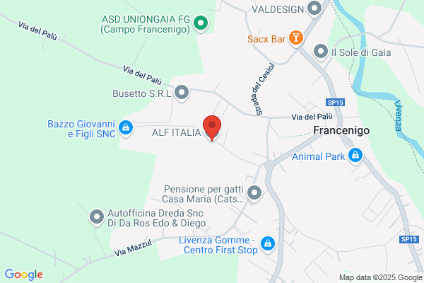 Alfa Italia Inc