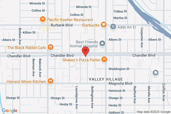Chandler Palms