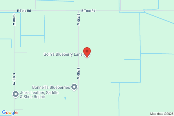 Goin's Blueberry Lane