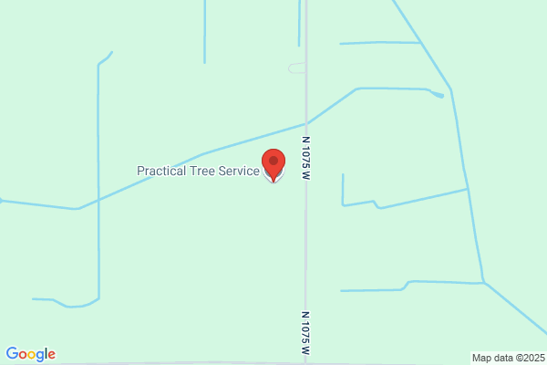Practical Tree Service