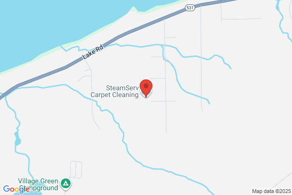 SteamServ Carpet Cleaning