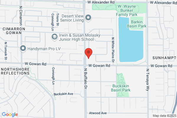 Southern Nevada Veterinary Surgical Group