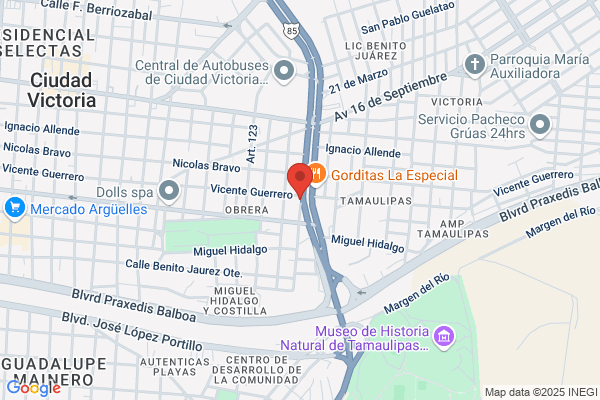 Auto Repair Guajardo