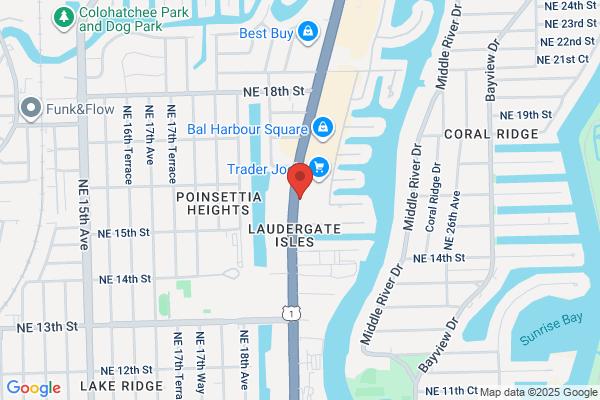 Chester Fried Chicken