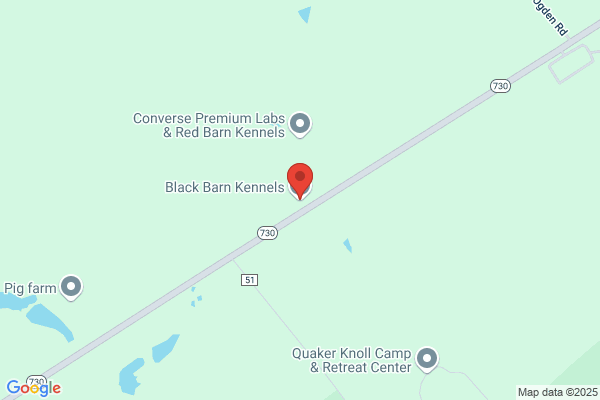 Blazek Kennels