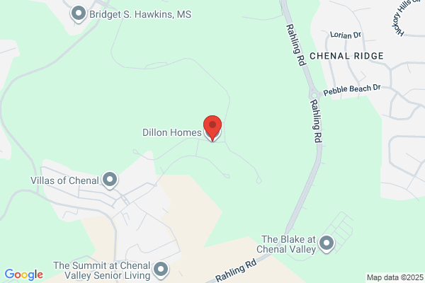Dillon International Inc