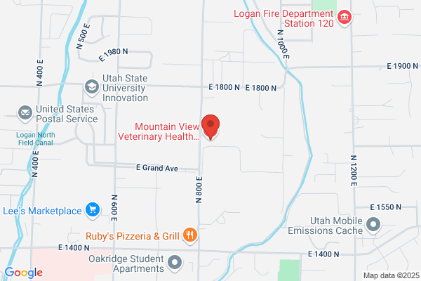 Mountain View Veterinary Health Center North Logan Hospital