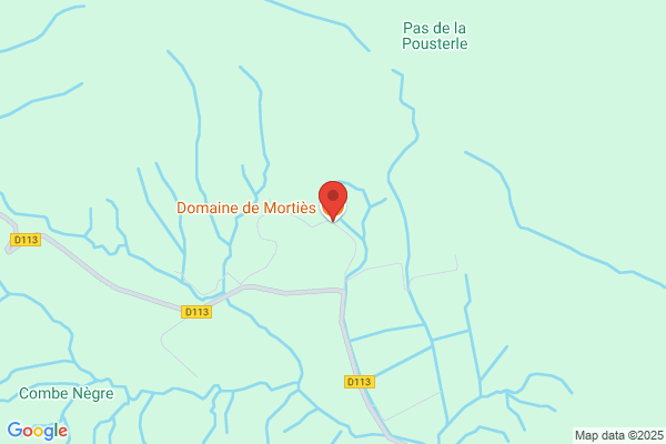 Mortie's
