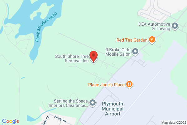 South Shore Arborists