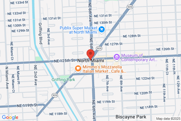 Marius Duct Cleaner