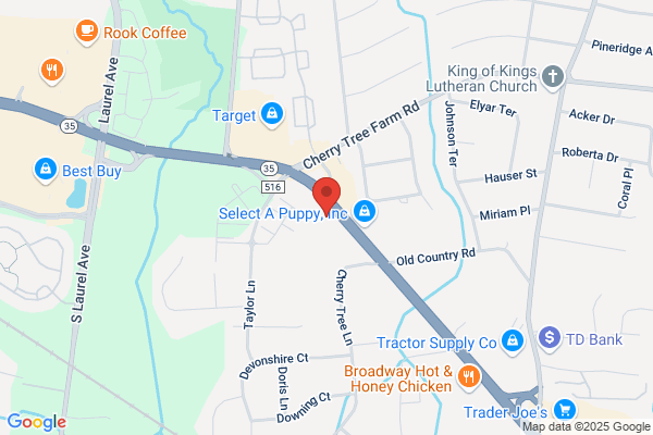 Country Sudser Car Wash of Middletown