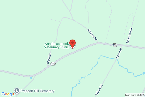 Annabessacook Veterinary Clinic