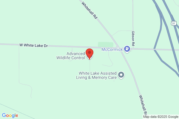 Advanced Wildlife Control