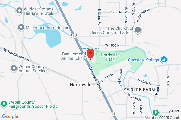 Ben Lomond Animal Clinic