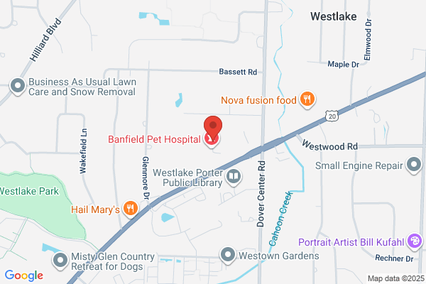 Homewatch CareGivers of Westlake