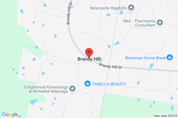 Brandy Hill, Psychiatric Nurse Practitioner