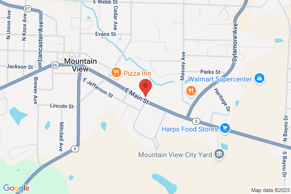 Mountain View Realty