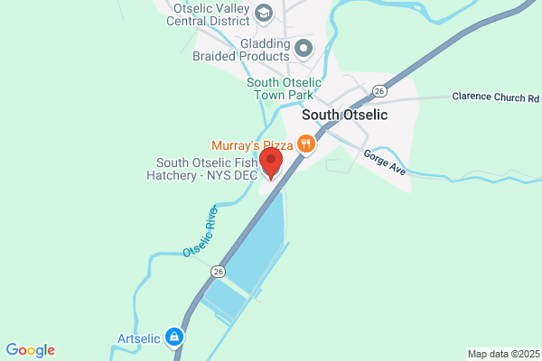 New York State Fish Hatchery