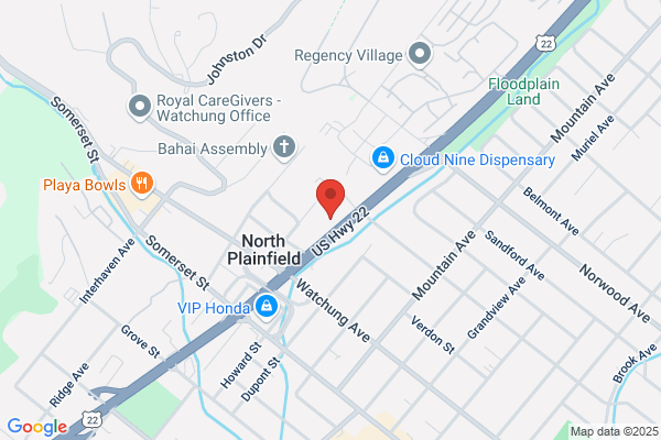 Tiger Schulmann's Martial Arts (North Plainfield, NJ)