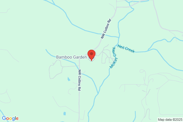 Bamboo Garden