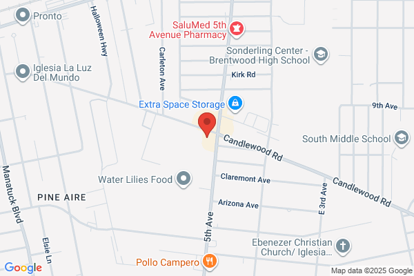 Fifth Avenue Plaza Inc