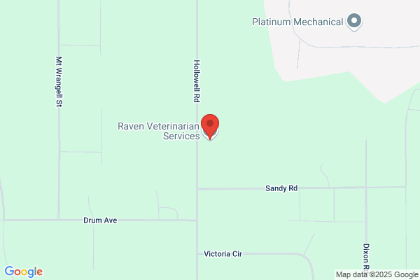 Raven Veterinary Services