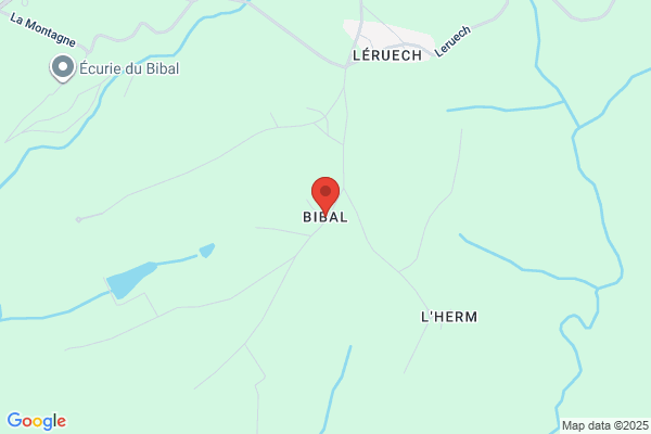 Bibal Press