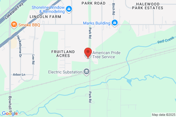 American Tree Service