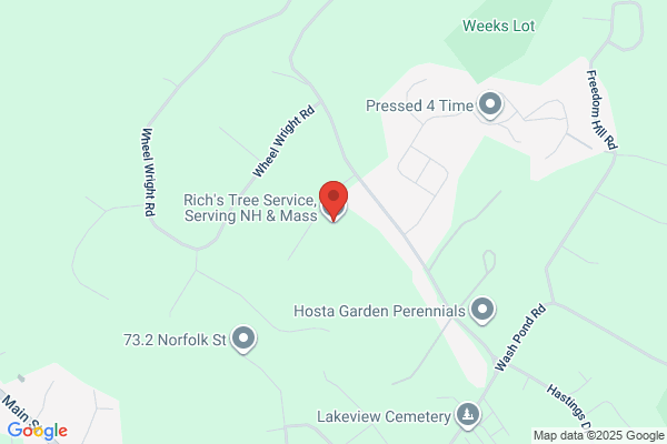 Rich's Tree Service