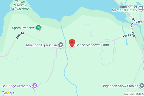 Chase Meadows Farm Llc