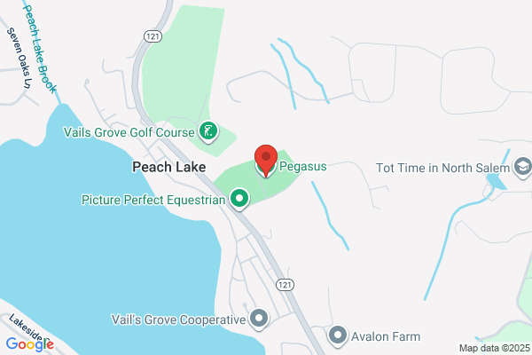 Pegasus Therapeutic Riding