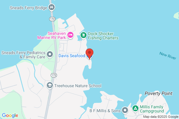 Davis Seafood Inc