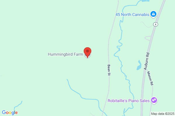 Hummingbird Farm