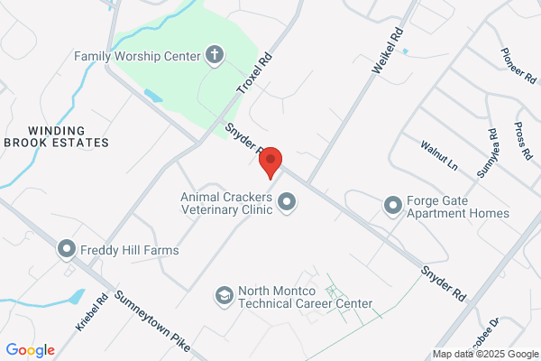 North Penn School District, York Avenue Elementary School