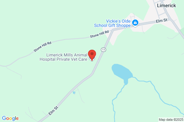 Limerick Mills Animal Hospital
