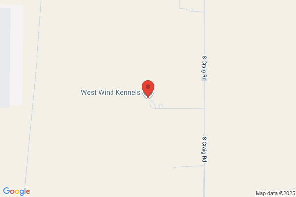 Westwind Kennels