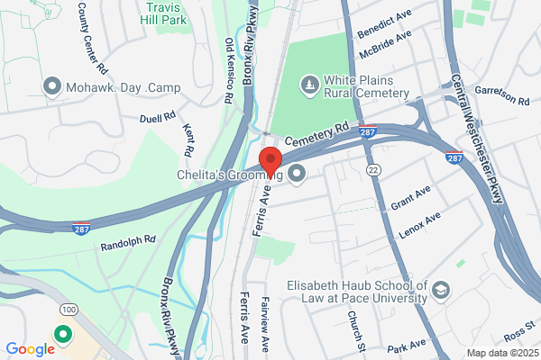 White  Plains Auto