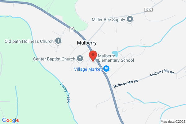 Schools, Schools:, Mulberry Elementary