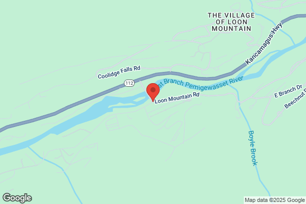 Ski Nh