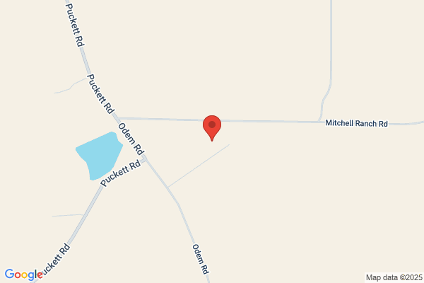 Mitchell Gas Services Lp