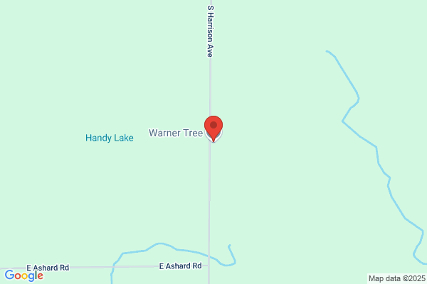 Warner Tree