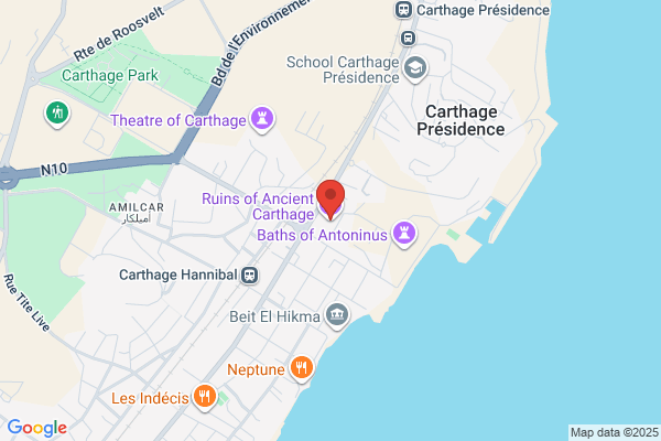 The Carthage Group