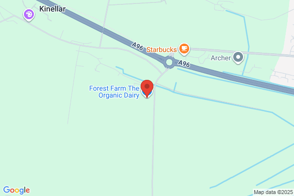 Forest Farm