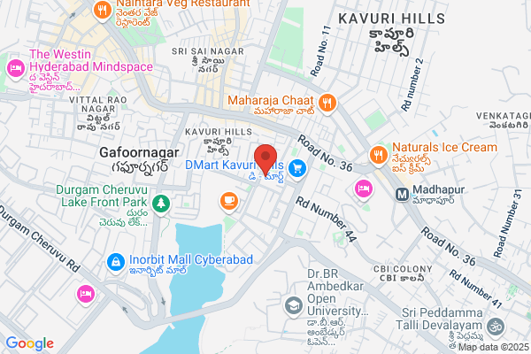 Ray Business Solutions