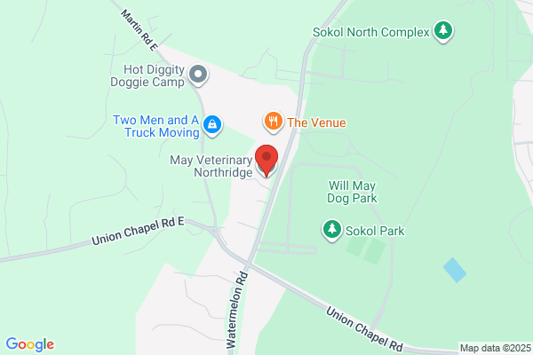 May Veterinary Northridge