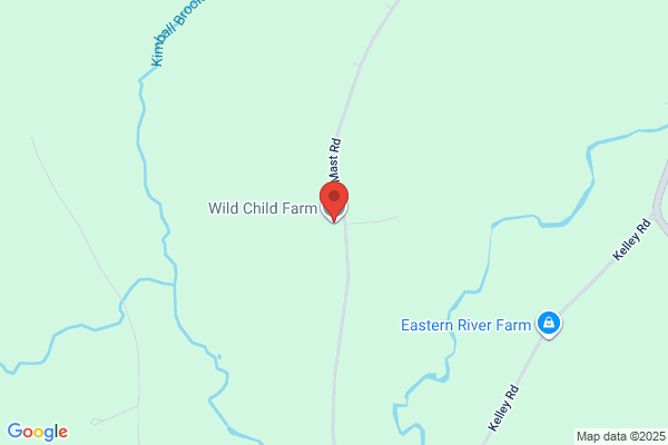 Wild Child Knits