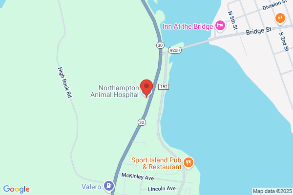 Northampton Animal Hospital
