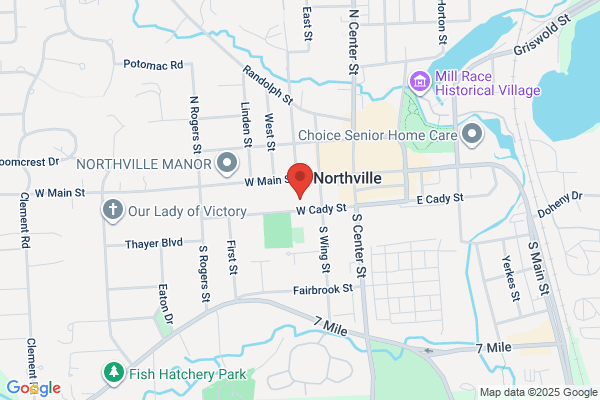 Friends of the Northville District Library Store