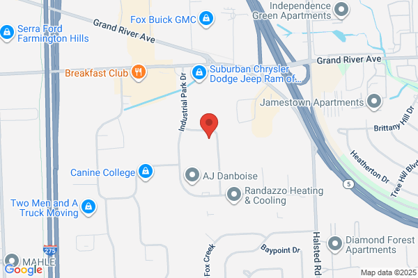 APEX Physical Therapy