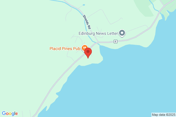 Ponderosa Pines